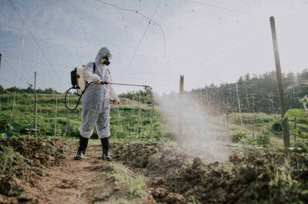Best Mosquito Control Services  in Dassel, MN