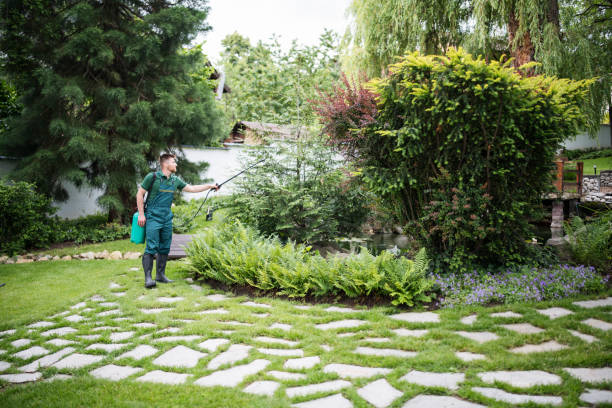 Best Insect Control  in Dassel, MN