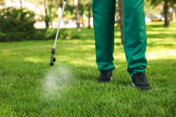 Best Affordable Pest Control Services  in Dassel, MN