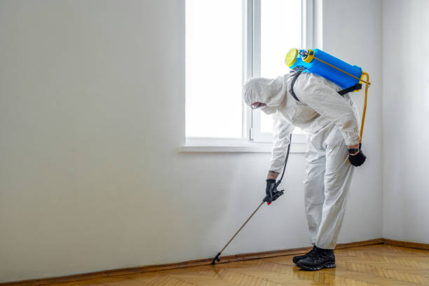 Best Pest Control for Restaurants  in Dassel, MN