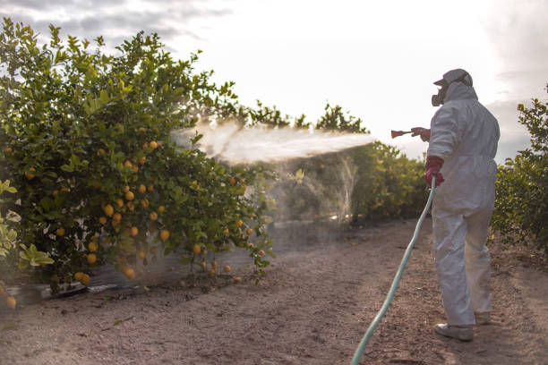 Best Best Pest Control Companies  in Dassel, MN