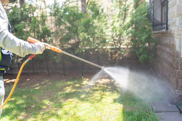 Best Emergency Pest Control  in Dassel, MN