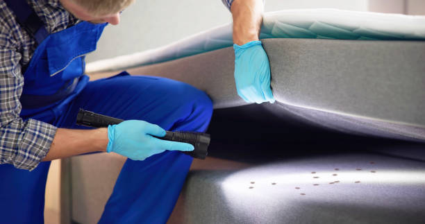 Best Pest Inspection Near Me  in Dassel, MN