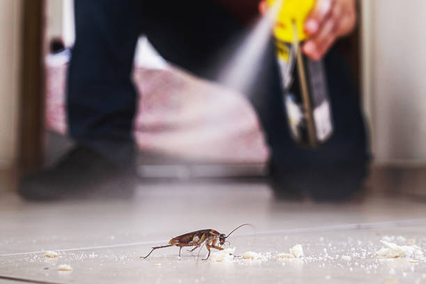 Best Pest Prevention Services  in Dassel, MN